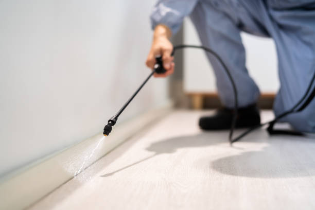 Bed Bug Pre-Treatment Preparation Assessment in Hayfield