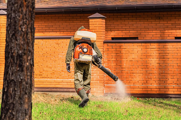 Bed Bug Clearance Verification and Documentation in Hayfield
